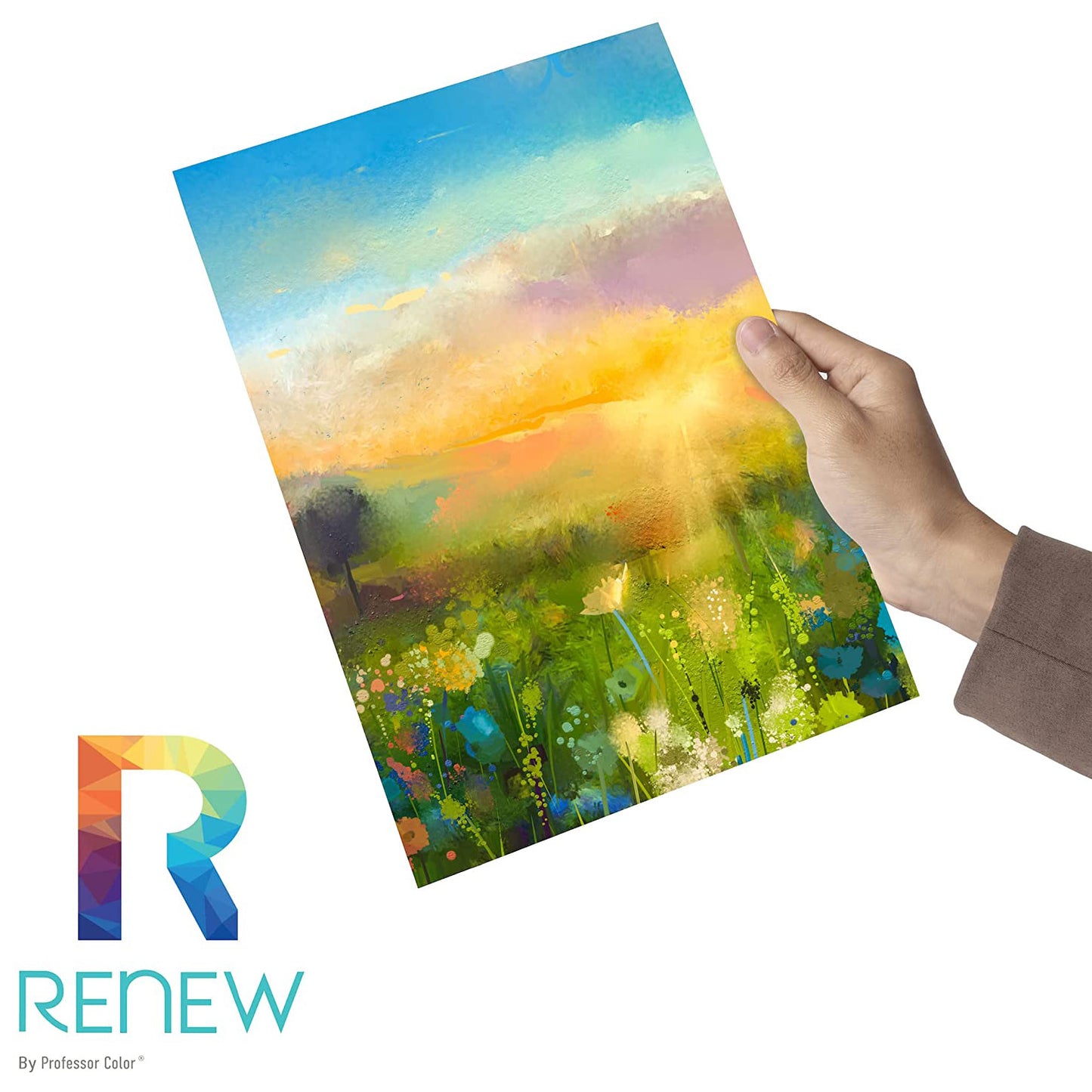 9 Pack Multicolor Ink Set - Professor Color